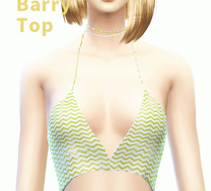 【CHARONLEE】Barry&Franiky top