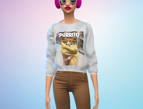 Jessica Sweatshirt Recolor: Cat Edition