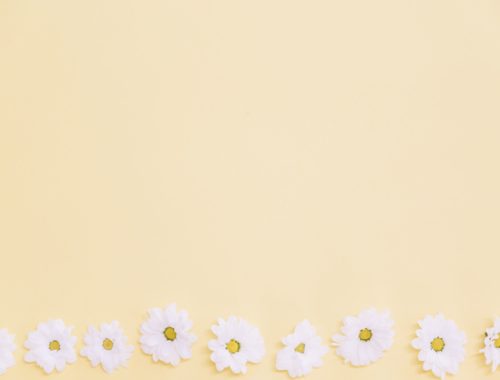 *MEGA PACK* kawaii CAS backgrounds (x20)