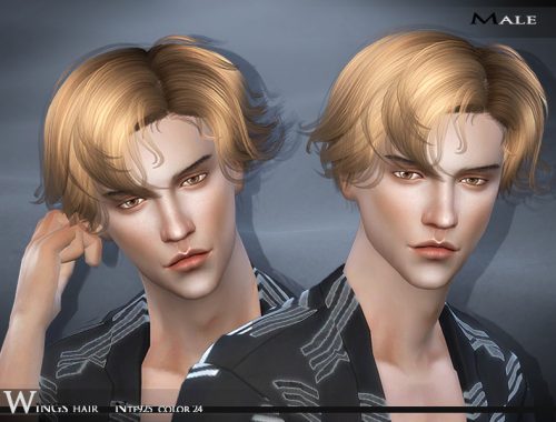 Wings Hair_SIMS4_NTF925_F M