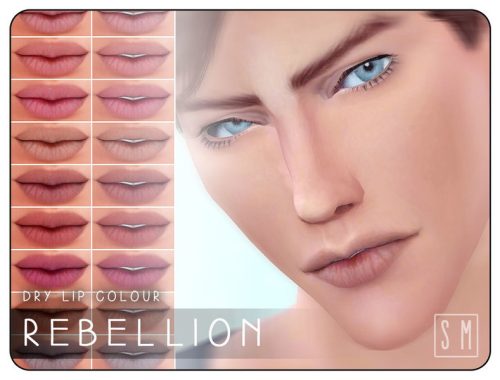[ Rebellion ] - Dry Lip Colour