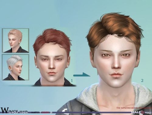 WINGS Sims4 Hair TOS0713 MALE V.2