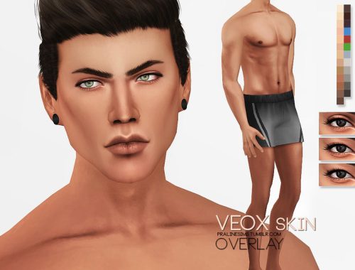 PS Veox Skin Overlay