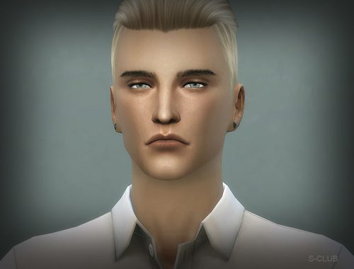 S-Club WM thesims4 Eyebrows16 M