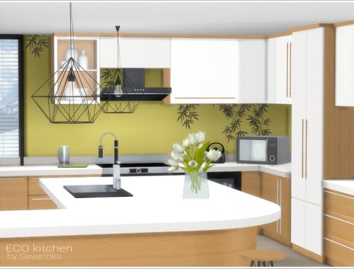 ECO kitchen