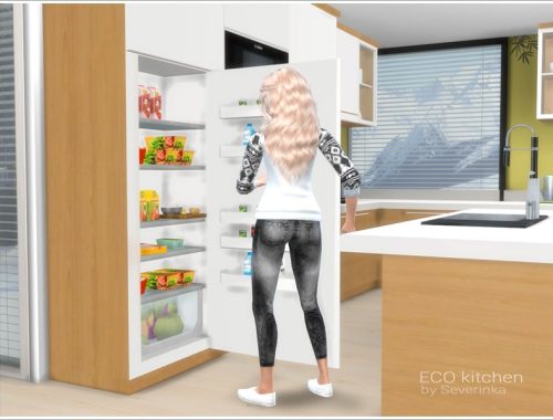 ECO kitchen