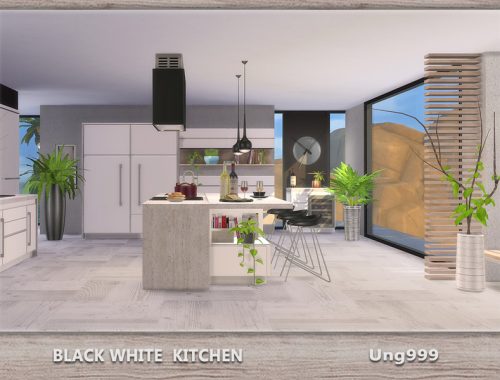 Black White Kitchen
