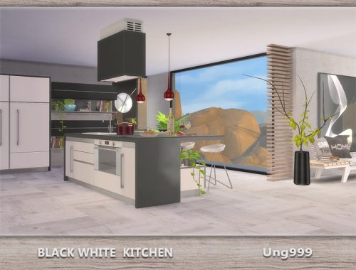 Black White Kitchen