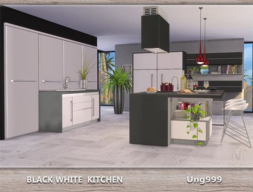 Black White Kitchen