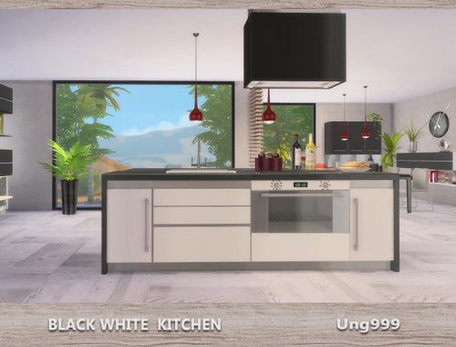 Black White Kitchen