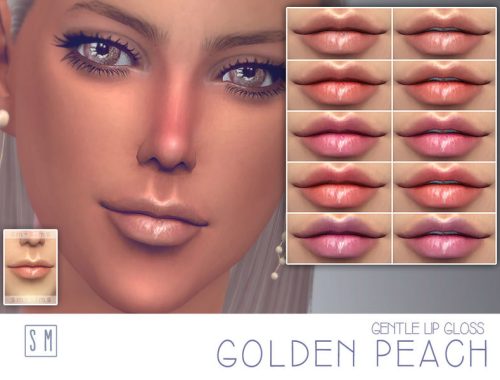 [ Golden Peach ] - Gentle Lip Gloss