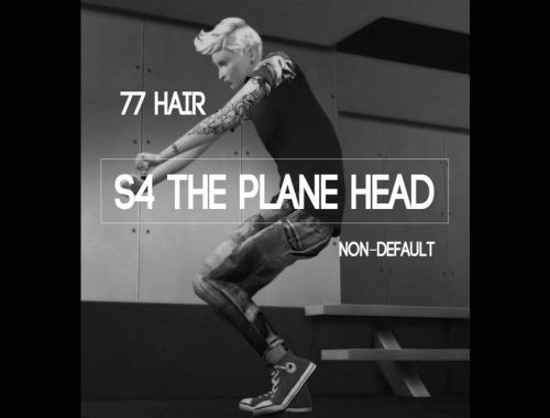 77Hair-S4 The plane head