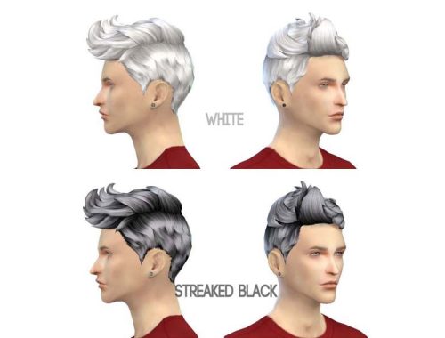 77Hair-S4 The plane head
