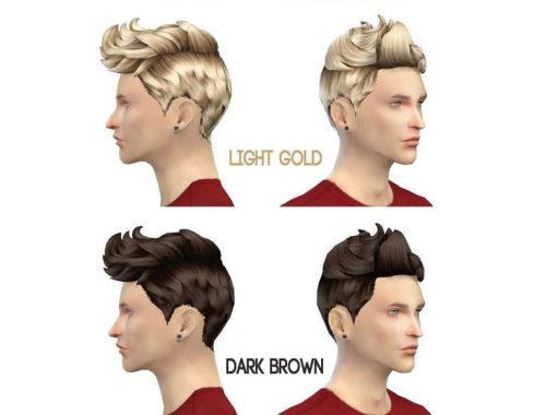 77Hair-S4 The plane head