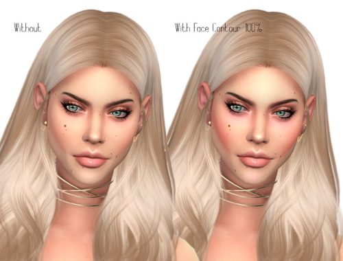Face Contour Indiri