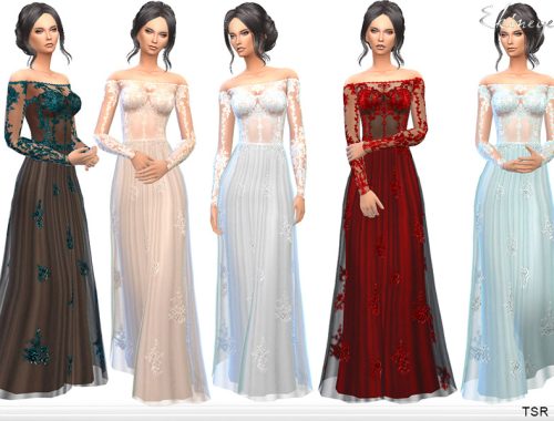 Transparent Gown With Lace Applique