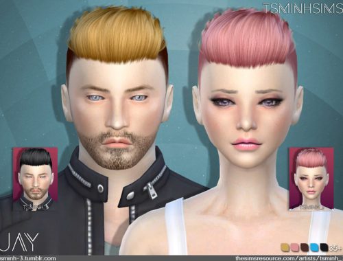 JAY | Hairstyle 9