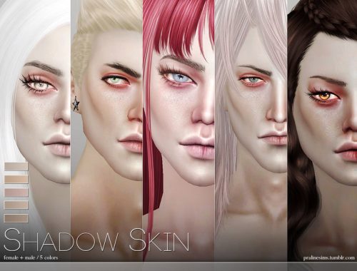 PS Shadow Skin