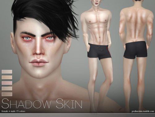 PS Shadow Skin