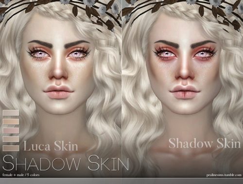 PS Shadow Skin