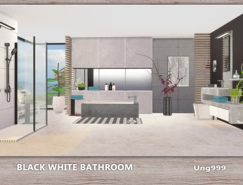 Black White Bathroom