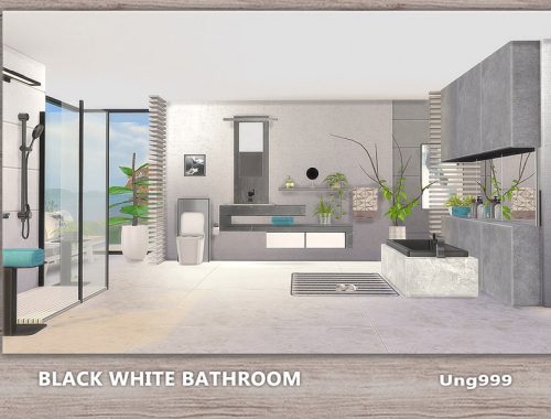 Black White Bathroom