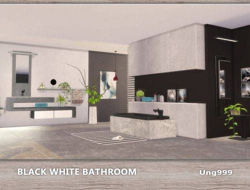 Black White Bathroom