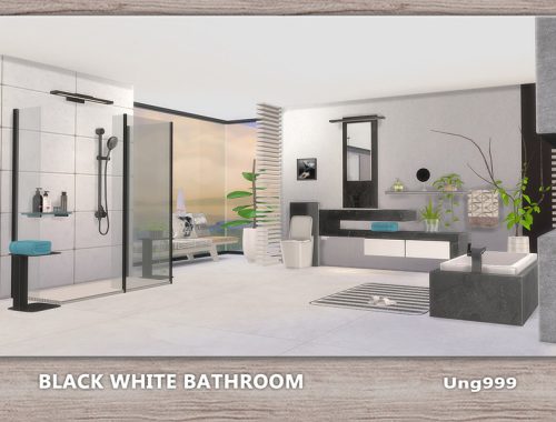 Black White Bathroom