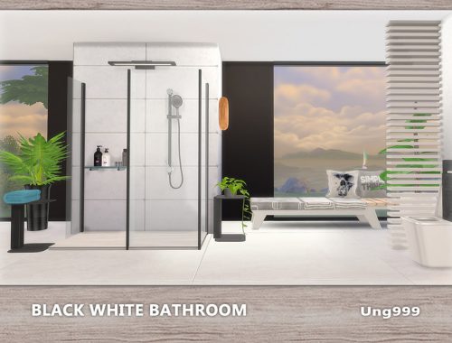 Black White Bathroom