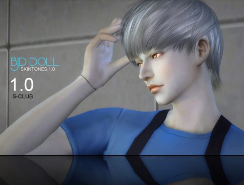 S-Club WMLL ts4 BJD1.0