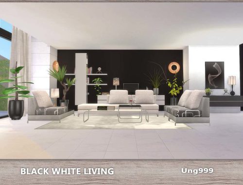 Black White Living