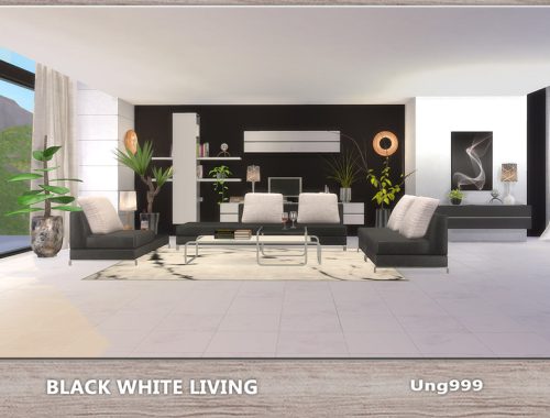 Black White Living