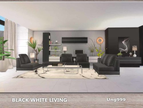Black White Living