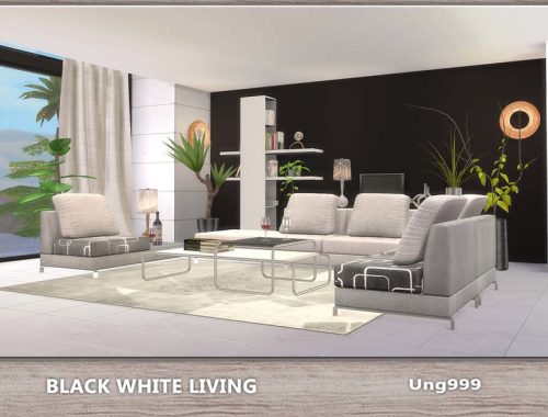 Black White Living