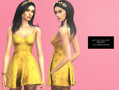 DREAMER COLLECTION