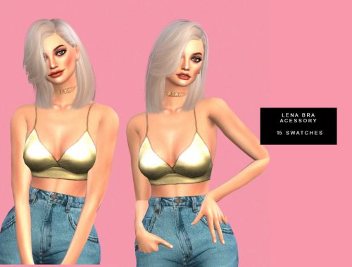 DREAMER COLLECTION
