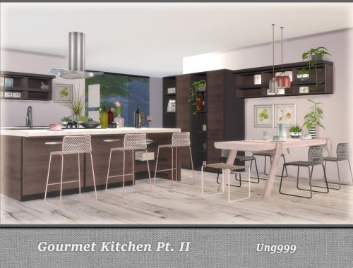 Gourmet Kitchen Pt. II