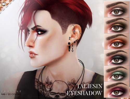 Taliesin Eyeshadow N49