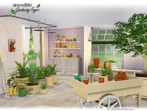 Gardening Foyer - Plants