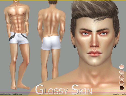 PS Glossy Skin