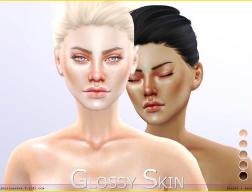 PS Glossy Skin