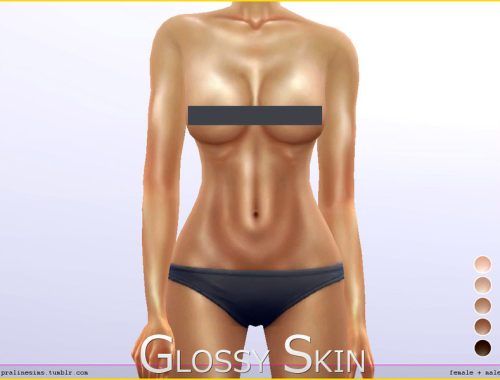 PS Glossy Skin