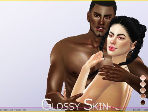 PS Glossy Skin
