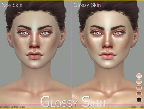 PS Glossy Skin