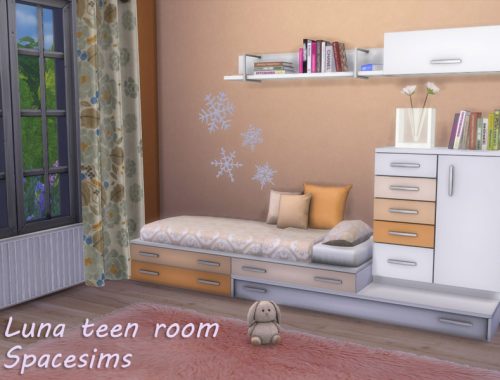 Luna teen room