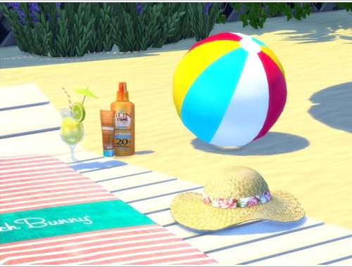 Dreams of the beach