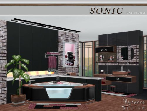 Sonic Bathroom