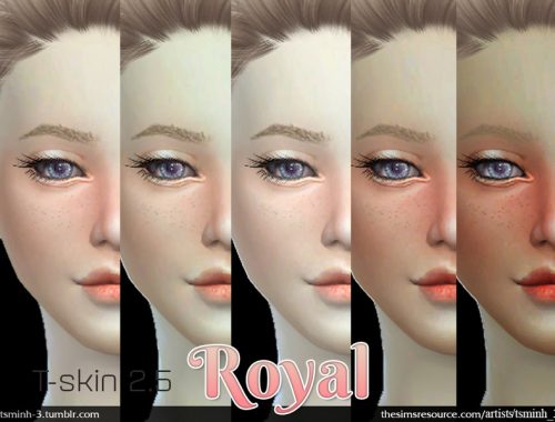 T-Skin 2.5 - ROYAL SKIN