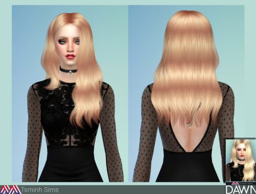 Dawn ( Hair 29 )