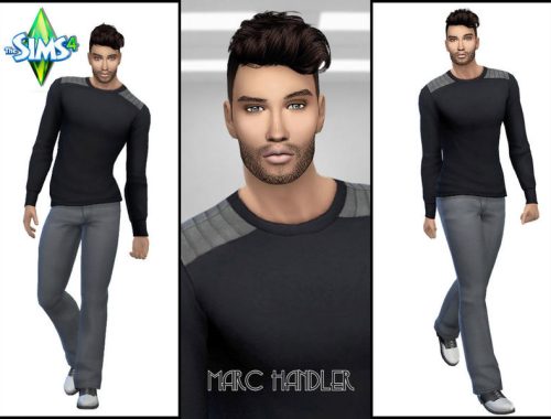 Marc Handler
